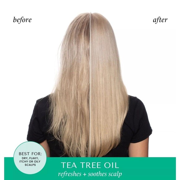 Hask Tea Tree & Rosemary Oil Invigorating Shampoo, 12 fl oz/335ml Beauty Hair - Picture 8 of 12